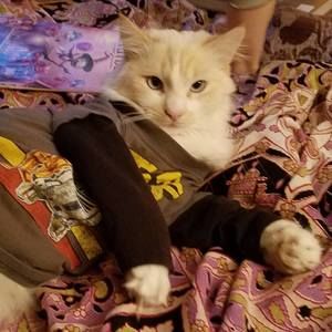 Meet your Posher, Stania